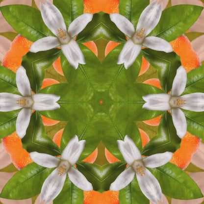 Bodrum Mandarin Flytende Såpe med Naturlig Olivenolje 500 ml
